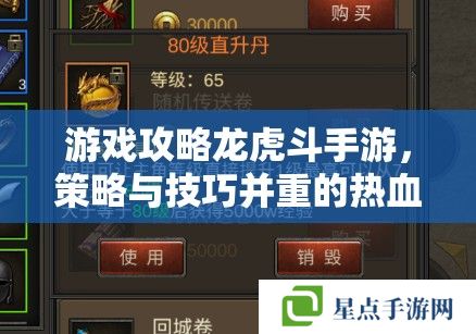 游戲攻略龍虎斗手游，策略與技巧并重的熱血對決