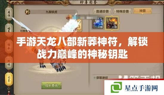 手游天龍八部新莽神符，解鎖戰(zhàn)力巔峰的神秘鑰匙