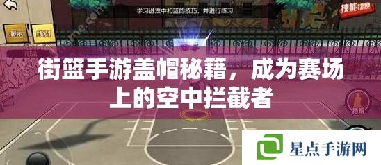 街籃手游蓋帽秘籍，成為賽場上的空中攔截者