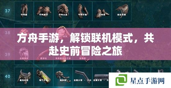 方舟手游，解鎖聯(lián)機(jī)模式，共赴史前冒險之旅