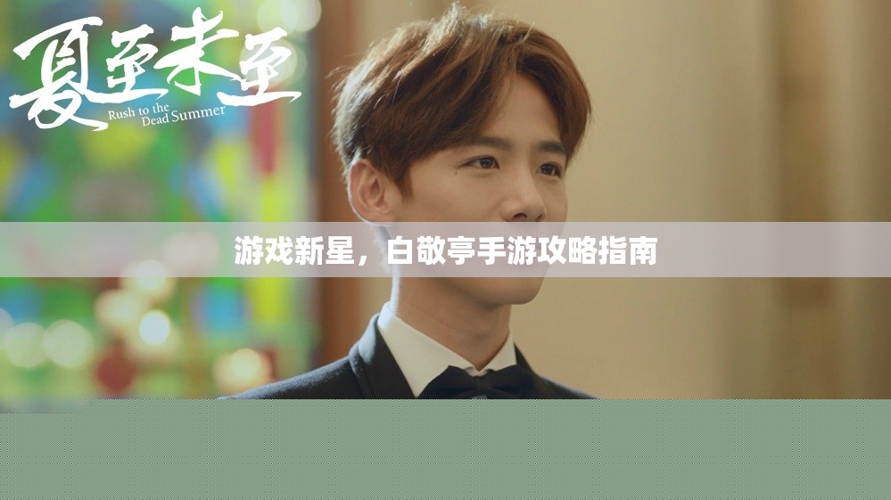 游戲新星，白敬亭手游攻略指南