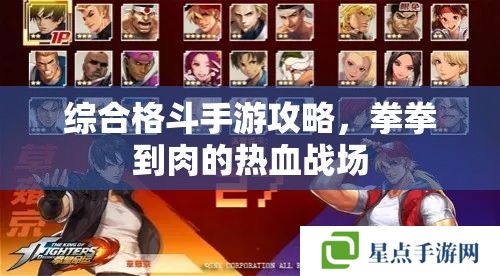 綜合格斗手游攻略，拳拳到肉的熱血戰(zhàn)場