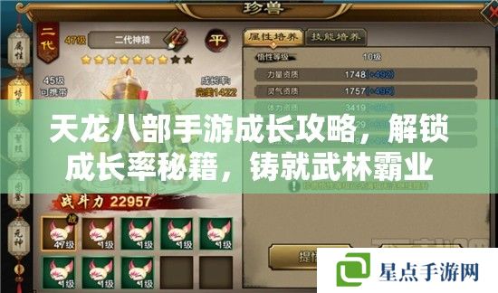 天龍八部手游成長攻略，解鎖成長率秘籍，鑄就武林霸業(yè)