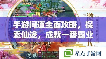 手游問道全面攻略，探索仙途，成就一番霸業(yè)