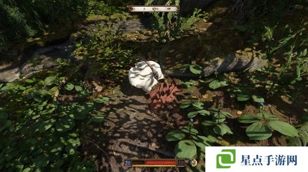 天國拯救2顛茄哪里多  顛茄和四葉重樓草藥采集點分享圖片2