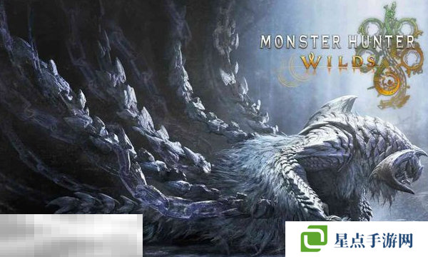 怪物獵人荒野全武器通用畢業(yè)龜殼套配裝分享 龜殼套配裝推薦