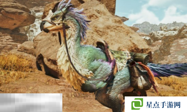 怪物獵人荒野全武器通用畢業(yè)龜殼套配裝分享 龜殼套配裝推薦