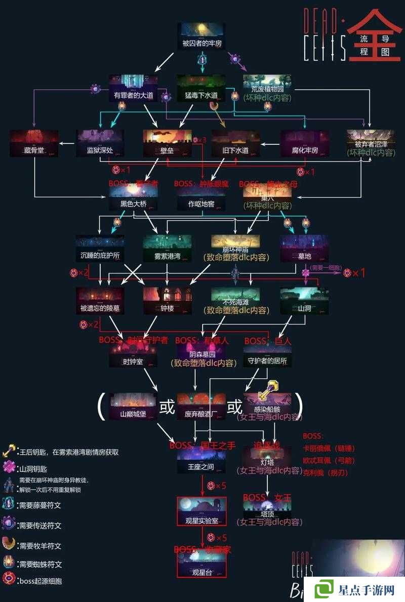 揭秘重生細胞，為何無法自動回血