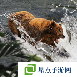 野獸領(lǐng)主新世界異獸圖鑒