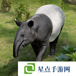 野獸領(lǐng)主新世界異獸圖鑒