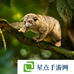 野獸領(lǐng)主新世界異獸圖鑒