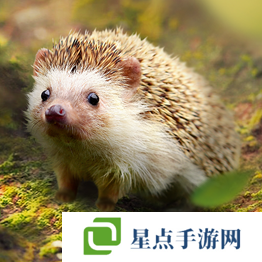 野獸領(lǐng)主新世界異獸圖鑒