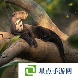 野獸領(lǐng)主新世界異獸圖鑒