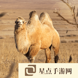 野獸領(lǐng)主新世界異獸圖鑒