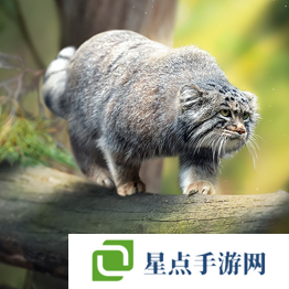 野獸領(lǐng)主新世界異獸圖鑒