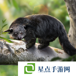 野獸領(lǐng)主新世界異獸圖鑒