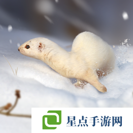 野獸領(lǐng)主新世界異獸圖鑒