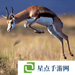 野獸領(lǐng)主新世界異獸圖鑒