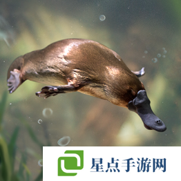 野獸領(lǐng)主新世界異獸圖鑒