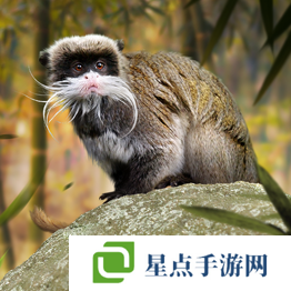 野獸領(lǐng)主新世界異獸圖鑒