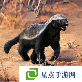 野獸領(lǐng)主新世界異獸圖鑒