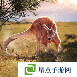 野獸領(lǐng)主新世界異獸圖鑒