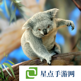 野獸領(lǐng)主新世界異獸圖鑒