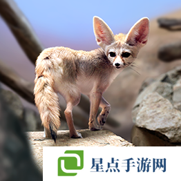 野獸領(lǐng)主新世界異獸圖鑒